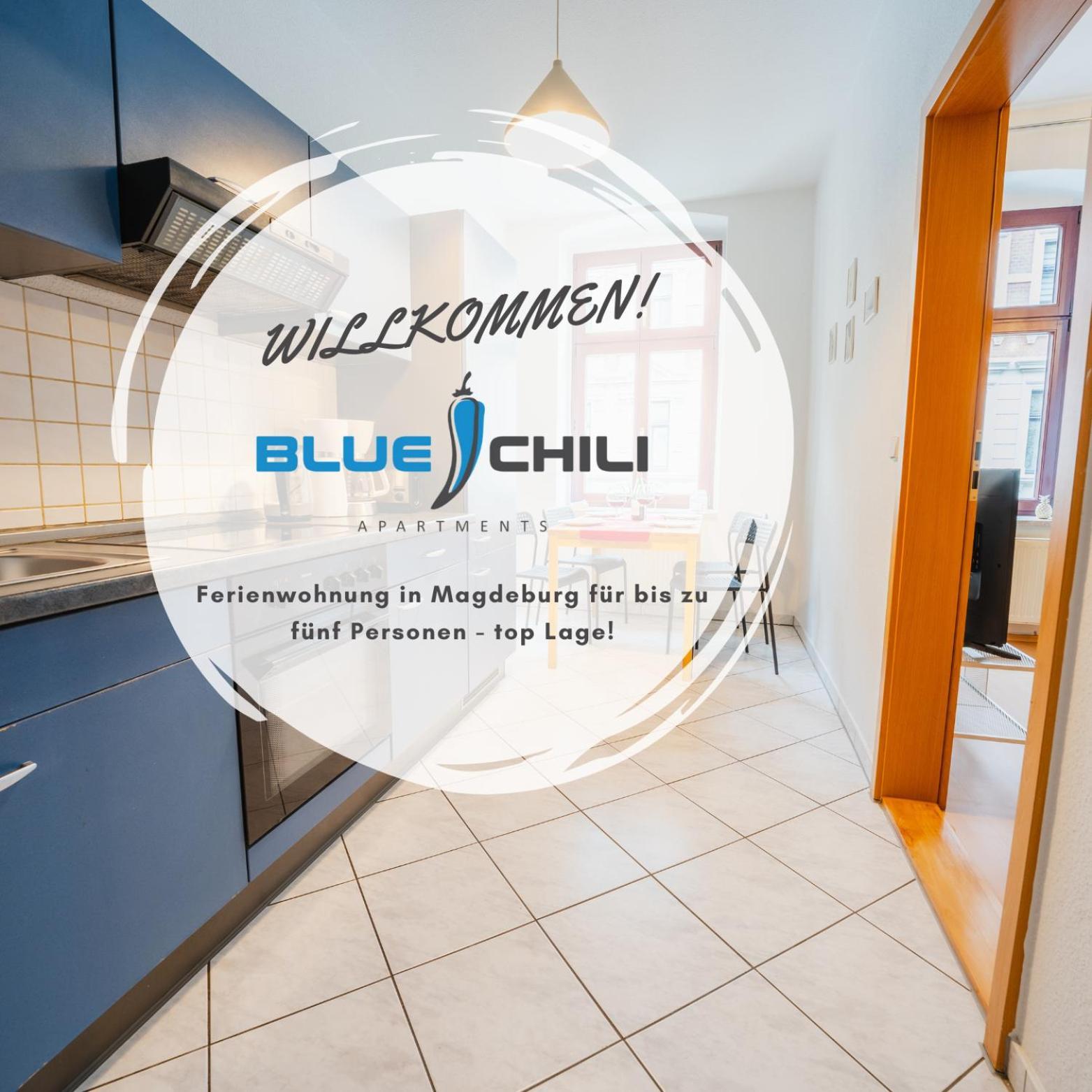 Blue Chili 08 - Magdeburg 2-Zimmer Altbau, Wi-Fi, 5 Pax Εξωτερικό φωτογραφία